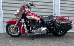 HARLEY FLI HYDRA-GLIDE 2025 BCK