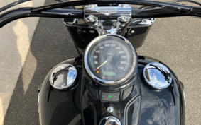 HARLEY FLS 2012 JR5