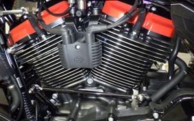 HARLEY FLHXSE1980CVO 2025