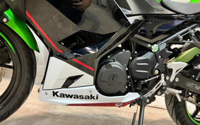KAWASAKI NINJA 400 2022 EX400G