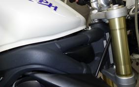 TRIUMPH STREET TRIPLE 2009