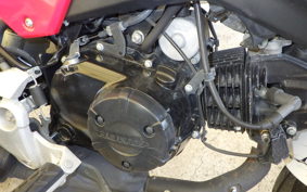 HONDA ｸﾞﾛﾑ 2023 JC75