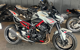 KAWASAKI Z900 2021 ZR900B