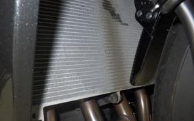 KAWASAKI NINJA1100SX 2025 ZXT10H