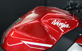 KAWASAKI NINJA 250 EX250P
