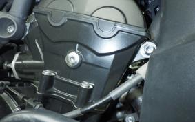 TRIUMPH TIGER 800 2014