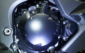 KAWASAKI NINJA 1000 SX 2025 ZXT02K