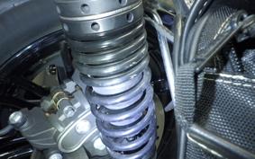 HARLEY XL1200XS 2019