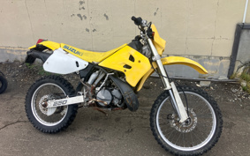 SUZUKI RMX250 S SJ13A