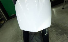 YAMAHA WR250X DG15J