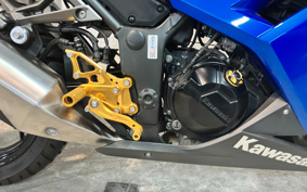 KAWASAKI NINJA 250 EX250L