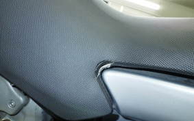 DUCATI MULTISTRADA 1000 DS 2024