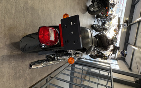 HARLEY HARLEY XL883C 2009 CP2