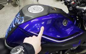 YAMAHA MT-25 2017 RG10J