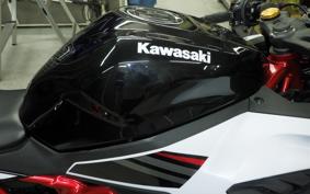 KAWASAKI ZX-25R ZX250E
