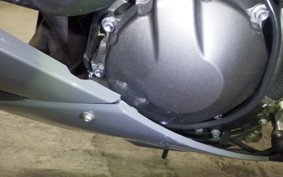 KAWASAKI NINJA ZX-6R A 2021 ZX636G