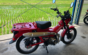 HONDA CT125 HUNTER CUB JA55