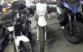 KAWASAKI KLX125 2022 LX125C