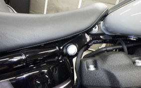 HARLEY FXLRST1920 2025