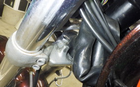 KAWASAKI ZEPHYR 750 RS 2024 ZR750D