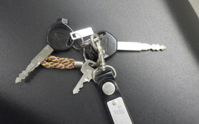 HONDA TACT Basket 2008 AF79