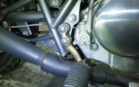 SUZUKI GRASS TRACKER Bigboy 2025 NJ47A