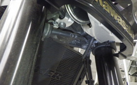 KAWASAKI Z900RS CAFE 2019 ZR900C