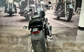 HARLEY  HARLEY FLFB 2025 YF9