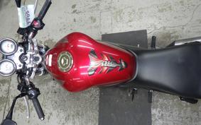 HONDA VTR 250 Gen. 2 2006 MC33
