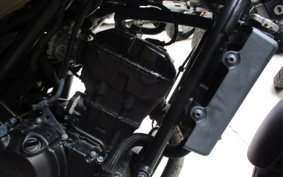 HONDA REBEL MC49