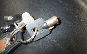 HARLEY FXSTC 1340 1998