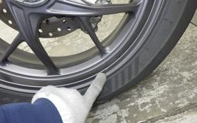 DUCATI PANIGALE V2 2020