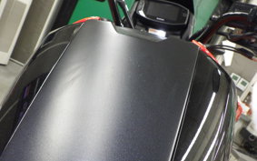 SUZUKI Vｽﾄﾛｰﾑ250SX 2013 EL11L