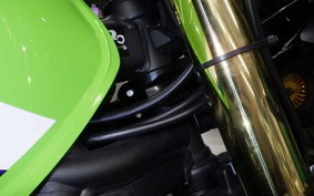 KAWASAKI ZRX1200 D 2017 ZRT20D