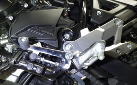 SUZUKI Vｽﾄﾛｰﾑ250A 2010