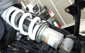 YAMAHA TW225 2009 DG09J