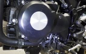 KAWASAKI Z900RS SE 2025 ZR900K