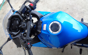 SUZUKI GSX250R DN11A