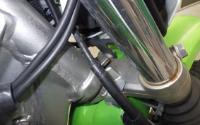 KAWASAKI KLX125 2024 LX125C