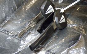 KAWASAKI Z900RS 2025 ZR900K