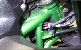 KAWASAKI ZH2 2020 ZRT00K