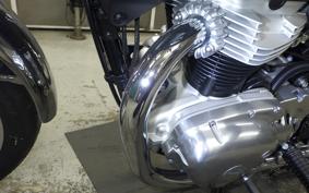 KAWASAKI W800 2025 EJ800E