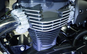 KAWASAKI W800 CAFE 2022