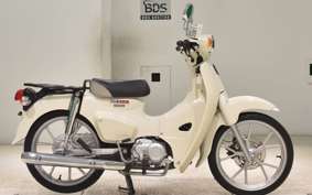 HONDA C110 SUPER CUB JA59
