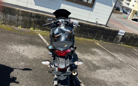 KAWASAKI NINJA 250 EX250L