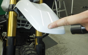 BMW R12G/S 2025