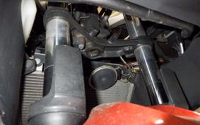 KAWASAKI NINJA 250 2020 EX250L