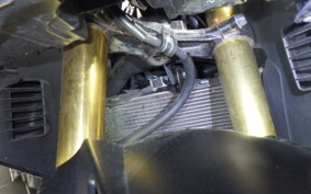 HONDA CBR250RR 2024 MC51