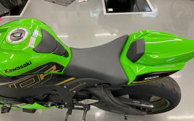 KAWASAKI NINJA ZX-10R 2019
