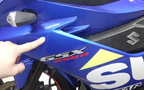 SUZUKI GSX250R 2025